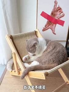 Lovinland Pet Cat Chair No Assembly Required 4-Gear Adjustable Cat Sisal Lounge Chair Breathable Canvas Chair Natural Wooden Cat Chair for Indoor Cats Beach Chair for Small Pet