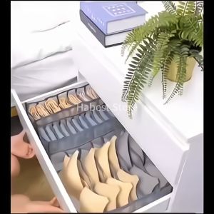 [Neat] UNDERWARE BRA SOCKS ORGANIZER / FOLDABLE ORGANIZER / STORAGE BOX / DRAWER CLOSET