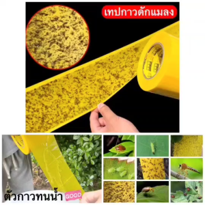OT270 เทปกาวดักแมลง มีขนาด 5-20cm เลือกก่อนซื้อ