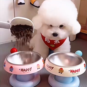 ชามอาหารแมว ชามแมว ชามสแตนเลส ชามอาหารสัตว์เลี้ยง ถอดออกได้ ทําความสะอาดง่าย ด้านล่างไม่ลื่น-B60