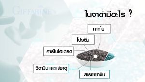 งาดำสกัดกิฟฟารีน งาดำแคปซูล ความดัน กระดูกพรุน หัวใจ งาดำสกัดแคปซูล สารสกัดเซซามิน ซีลิเนี่ยม งาดำแบบเม็ด