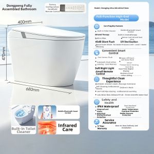DONGPENG | Intelligent Touch Silent Flush Toilet