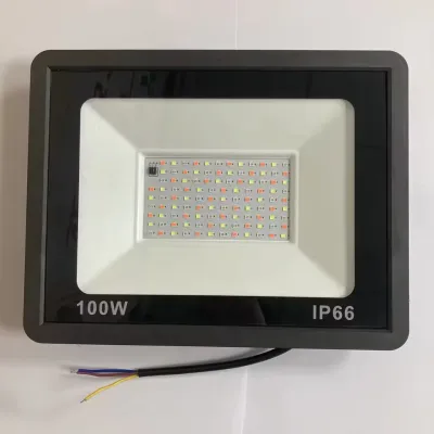 Rgb Outdoor Led Projector 220V Rgb Flood Light 10W 30W 100W 50W Waterproof Led Color Changing Rgb Spotlight Lamp Remote Control
