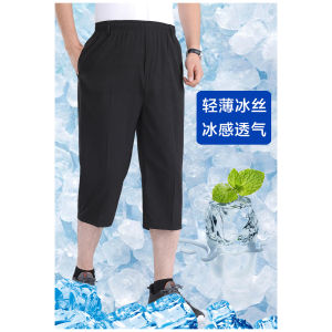 Summer New Mens Thin Ice Silk Casual Pants Loose Straight Leg Elastic Waist Shorts Fashion Urban Style Polyester Fiber