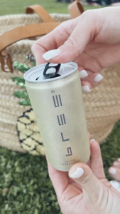 Bree Secco Chardonnay from Bree Wein Peter Mertes (Can Sparkling Alcohol Wine from Germany) | Carton of 12 cans