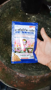 ปุ๋ยออสโมโค้ท ออสโมโค้ทพลัส ขนาด 100 กรัม 12-25-6+1% ปุ๋ย ปุ๋ยบำรุงดอก ปุ๋ยเร่งดอก