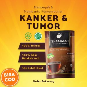 TEH HERBAL BAJAKAH KALIMANTAN AKAR BAJAKAH KAYU BAJAKAH SEHATIN BANTU ATASI KANKER TUMOR KISTA MIOM