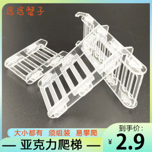 Acrylic Pet Climbing Ladder Transparent Small Pet Toy Climbing Pet Supplies Reptile Equipment Pet Avoidance/Scenery