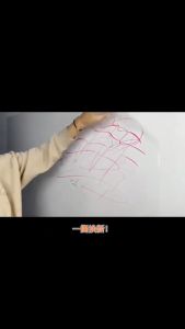 DM Wall Stickers Door Latex Paint Protective Film Transparent Electrostatic Adsorption Does Not Hurt Waterproof Kick-Proof Anti-Dirty