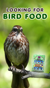 LUCKY STAR BRAND FANCY BIRD FOOD KASAR 500GM