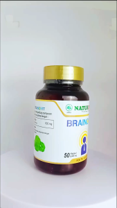 Obat Herbal Penambah Daya Ingat Kecerdasan Otak Menambah Konsentrasi Suplemen Nutrisi Otak Obat Saraf Spesialis Penambah Daya Ingat Mencegah Mengatasi Demensia Pikun Mudah Lupa Vitamin Otak Anak Dewasa Remaja Brainovit Naturindo Surabaya