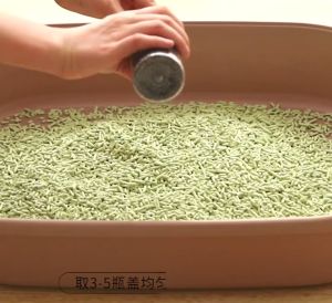 Hạt khử mùi cát mèo than hoạt tính