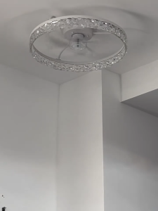 20 Inch Ceiling Fan Light Remote Control 6 Speed DC Motor Quiet Ceiling Fan Lamp for Bedroom Living Room Restaurant