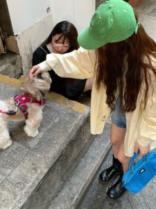 เสื้อเชิ้ตแขนยาวสีเหลืองสำหรับผู้หญิง ทรงหลวม ปักลาย ป้องกันรังสียูวี สไตล์เกาหลี ฤดูร้อน 2025 เสื้อคลุมกันหนาวแบบใหม่