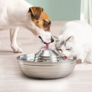 2L Stainless Steel Pet Water Feeder: A Comprehensive Guide