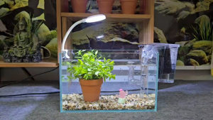 Bể cá mini 24 cm với 6 món (bể 24 sỏi nền máy lọc đèn led uốn D1s chậu cây thủy sinh phụ kiện chậu cây nhựa)