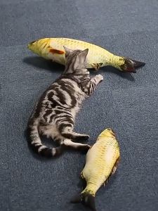 Cat Fish Toy Funny Simulation Plush Catnip Toy Lifelike Artificial Fish Pet Cat 3d Fish Cat Toy Bite-proof Soft PlushToy