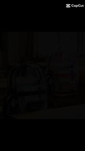 New High-Quality Transparent PVC Backpack for Men Casual Style Durable Material 15" Height