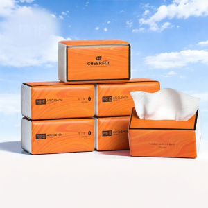 Botare | Hanging Tissues For Home