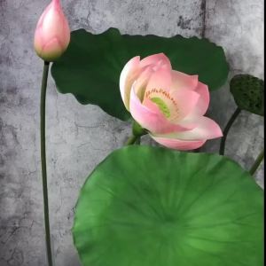 PU With Rod Folium Nelumbinis Lotus Simulated Lotus Leaf Lotus Buds Lotus Seedpod Chinese Pastoral Style Buddha Hall Ornamental Flower Factory Direct Supply