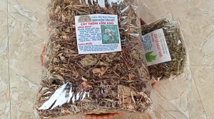 100g cây thồm lồm sấy khô TẶNG 50G CỎ NGỌT