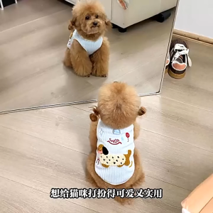 Áo ba lỗ cho chó mèo co giãn 4 chiều Smile kèm khoen móc dây dắt (mẫu mới) - Love Pets Shop