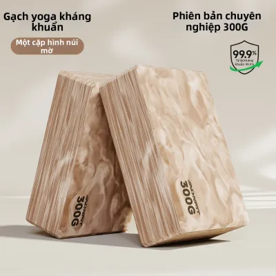AONFIT | Gạch Yoga Đào Tạo Cung Chân 300g