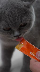 1 Box-60PCS Cat Stick | Cat Snack | cat treat | Cat Wet Food (Chicken/Salmon/Tuna/)