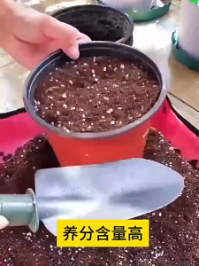 5KG/2.5KG Premium Professional Flower Organic Soils With Carbendazim Potting Mix For Flower Cultivation Universal Organic Nutrient Soils