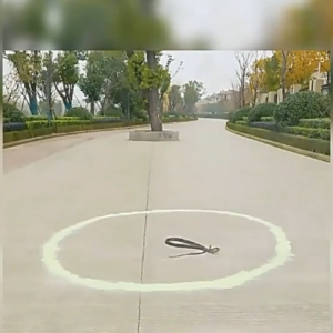 ยาไล่งู ขับไล่งู ยาวนาน ผงกำมะถันไล่งู ยาป้องกันงู ที่ไล่งู ผงไล่งู ก้อนไล่งู ไล่งู ใช้วางป้องกันไม่ให้งูเข้าใกล้