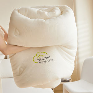 AIYUN | Four Seasons Suitable Cotton Warmth Quilt Core