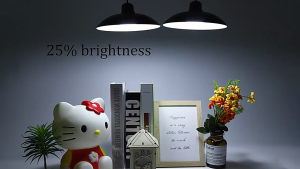 💥Buy 1 take 1💥 Solar Chandelier & Outdoor Waterproof Solar Ceiling Light