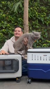 President Pet Case Junior