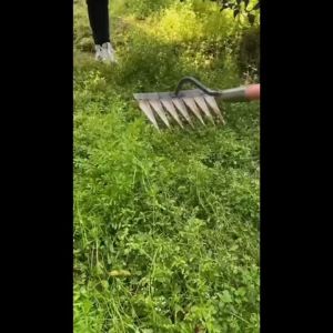 คลาดหญ้า 7-6-4 คราด คราดเหล็ก คราดถากหญ้า คาดหญ้า คราดเก็บหญ้า คาดเหล็ก คราดถอนวัชพืช คลาดถากหญ้า คาดหญ้าเหล็ก คราด อุปกรณ์ทำ สวน คราดมีด้าม ใช้ขุดดิน ขุ่นถางหญ้าดายหญ้า จอบถากหญ้าเล็ก คลาดเหล็ก คราด