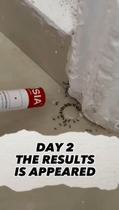 Antrade Eco Friendly Ant Ubat Semut.ant baitsemut racunUbat Lipas.Ubat Cicak Ant Cockroach Lizard Baits Eco Friendly Gel Bait. 蚂蚁蟑螂壁虎药