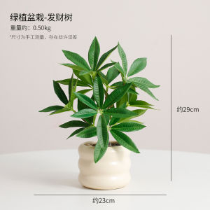 Nordic Style Artificial Green Plant Decoration Small Potted Office Indoor Living Room Desktop Bonsai Imitation Flower Ornament