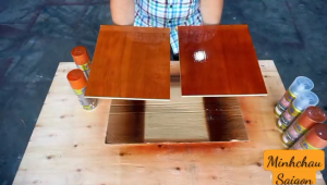 Sơn xịt màu cánh gián chai 400ml xịt màu cánh gián giữ được vân gỗ màu bóng đẹp hệ Acrylic