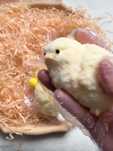 BISA COD - Taba Squishy Mainan Ayam Yang Lucu Dan Lembut - LGSHOPP