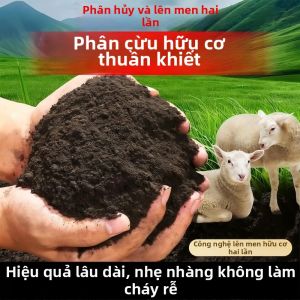 Organic Sheep Manure Fertilizer