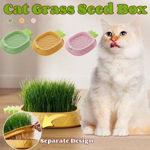 Growing Healthy Cat Grass: A Guide to Soilless Cultivation & Hydroponic Potted Grass