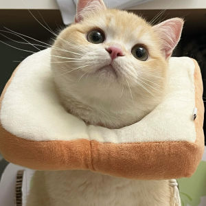 Adjustable Elizabethan Pet Recovery Collar Cat Neck Ring No-Taste Toast Bread Slice Spay Neuter Pet Scarf Cute Pet Headset