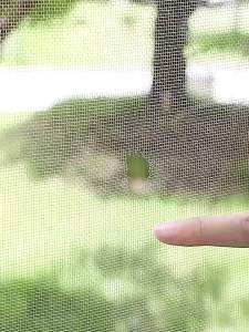 Window Screen and Mosquito Net Repair Tool Self Adhesive Waterproof Mesh Patch 5cmx2m Tape for Fixing Cracks on Home Screen Mesh