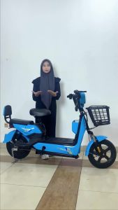 AZ Sepeda Listrik Dewasa: Pilihan Terbaik untuk Anda