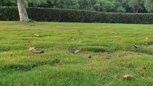 Winnereco ตั้งแคมป์แบบพับเก็บของกลางแจ้งแบบพกพาออกจากเต็นท์พื้นดินคนเดี่ยวกันน้ำกันน้ำทนต่อการเดินทางเดินป่าสำหรับการเดินทางปีนเขา