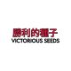 VICTORIOUS STORE 7