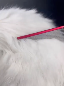 Lược chải lông gỡ rối lông siêu nhẹ bằng thép không gỉ cao cấp Hateli (mẫu mới) - Love Pets Shop