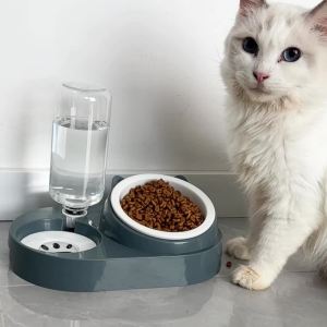 Dog food basin cat food basin cat bowl puppy bowl pet teddy bear dog rice basin water basin all in one dog and cat supplies