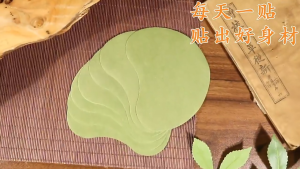 南京同仁堂绿金家园 艾腰贴 祛湿 懒人肚脐贴 驱寒 排毒 (12 pcs) Slimming Patch Weight Loss Fat