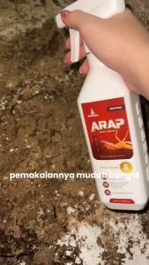 Racoon ARAP Spray Anti Rayap / Obat Anti Rayap 600ML