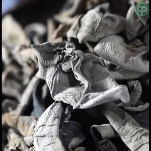 Nấm mèo khô Tấn Phát 500g